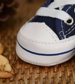Tenis