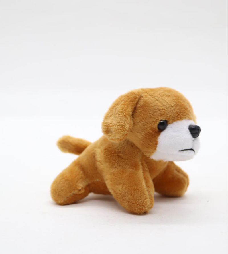 Pelucia