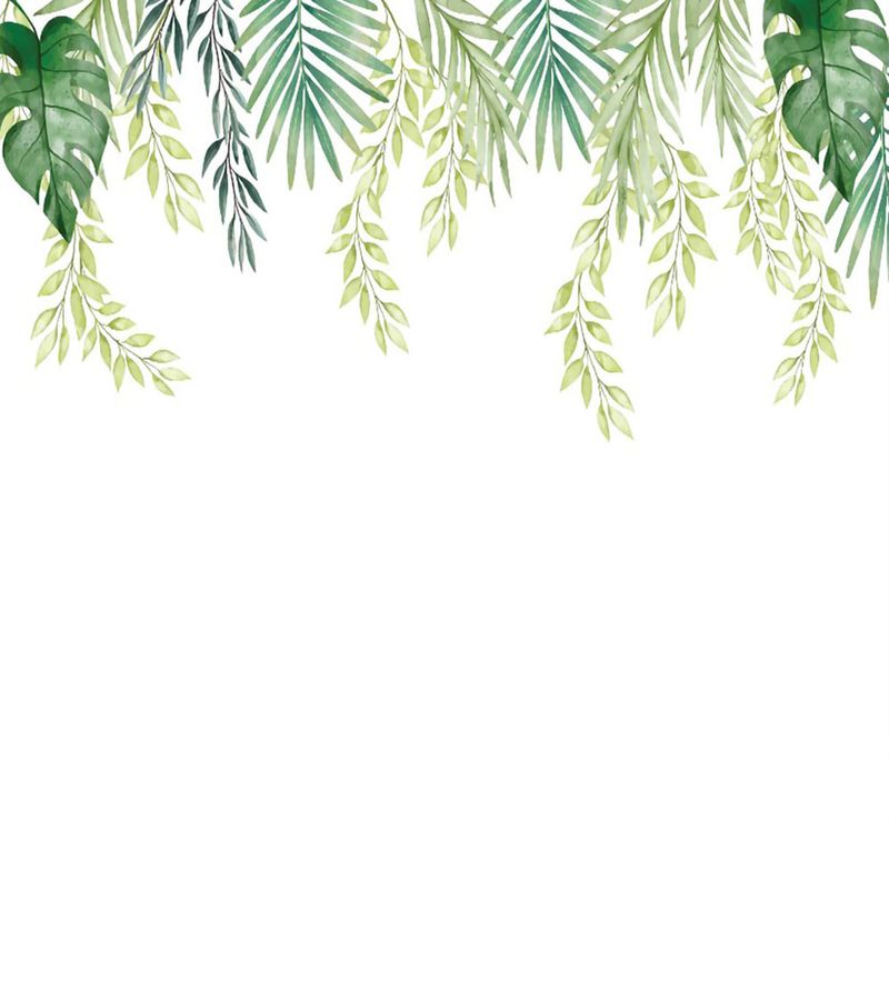 Papel
