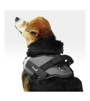 Peitoral Cross Harness da Mimo Cinza - M