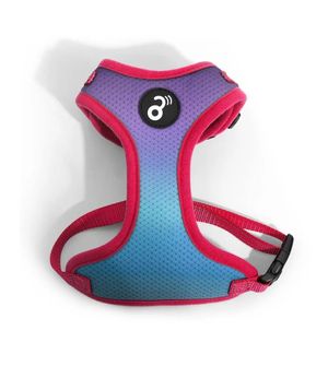 Peitoral Flow Mesh Mimo Roxo/Azul - M