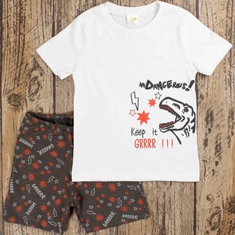 Conjunto Pijama Dino - 26175