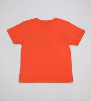 Camiseta AKZ - 259