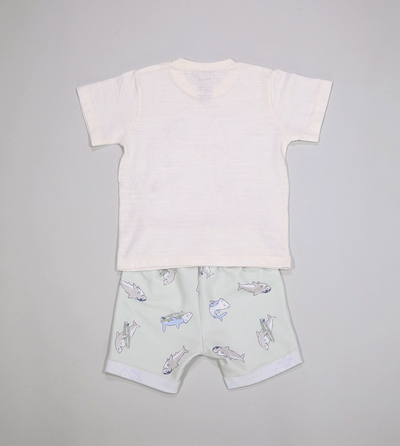 Conjunto