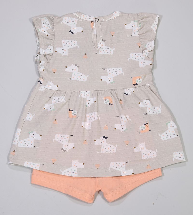 Conjunto