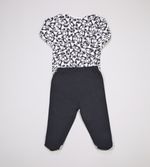 Conjunto