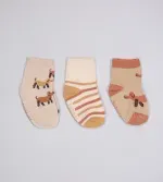 Kit