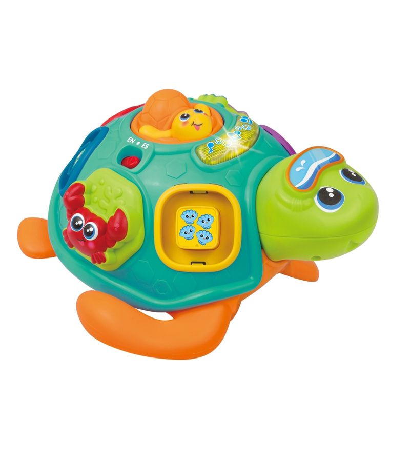Tartaruga