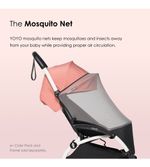 Mosquiteiro