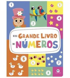 Meu Grande Livro de Numeros
