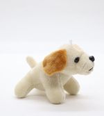 Pelucia