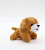 Pelucia