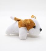 Pelucia
