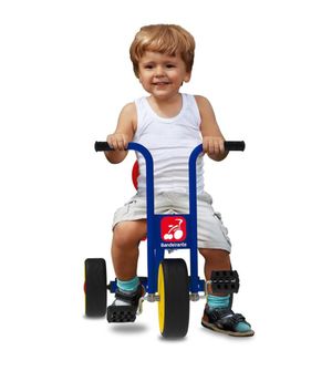 Triciclo Escolar + 3