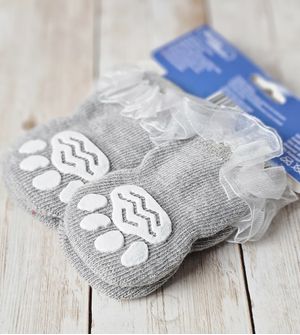 Meia para Cães com 2 pares Disco HomePet Cinza - M
