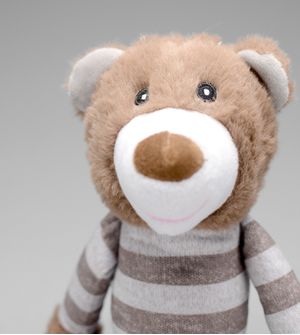 Pelúcia Pet Urso HomePet