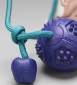 Bola