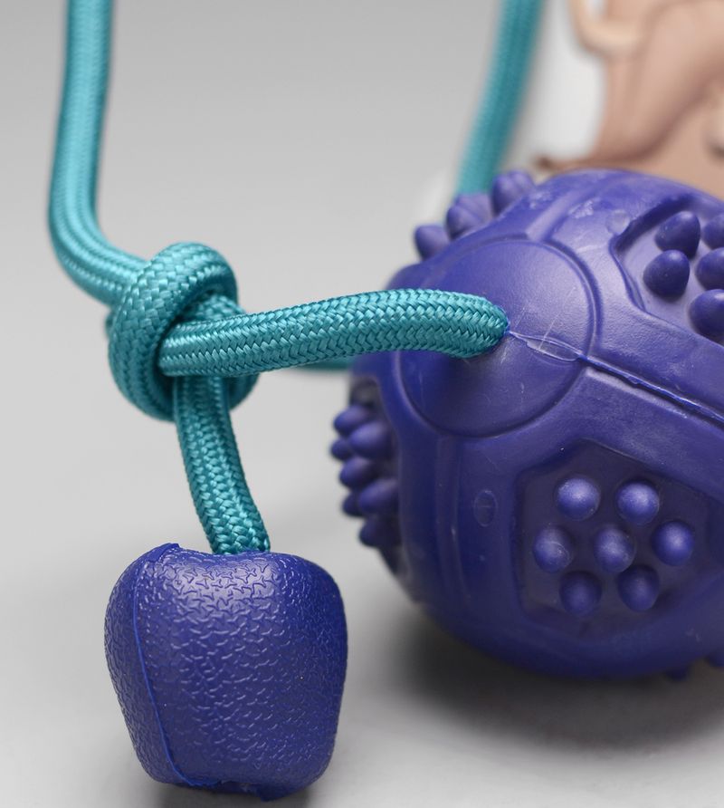 Bola