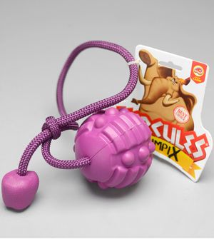 Bola Petisco com Corda OlimpiX Hércules Roxo