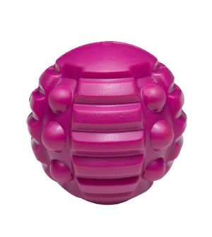 Bola Apito SquiX Hércules Roxo