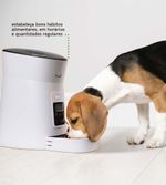 Alimentador