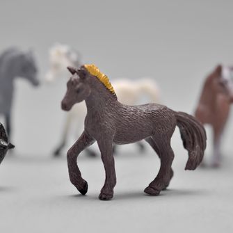 Mini Cavalos Selvagens