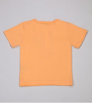 Camiseta AKZ - 268