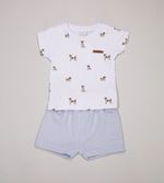 Conjunto