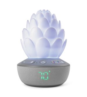 Luminária Multifuncional Acalma Bebê - Suculenta