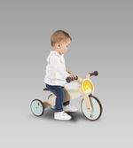Triciclo