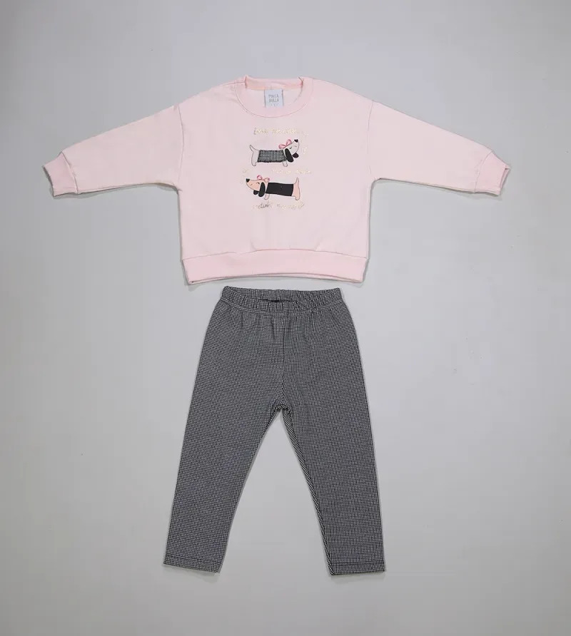 Conjunto