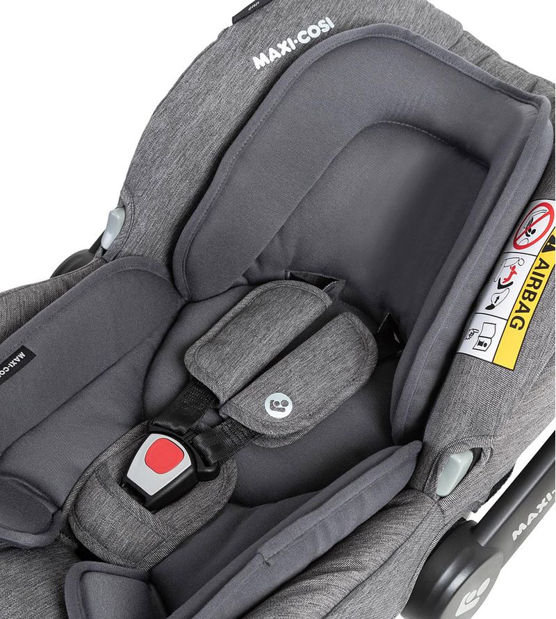 Bebe