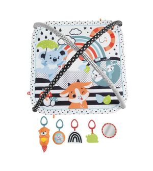 Ginásio De Atividades Musical 3 Em 1 Fisher-Price