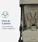 Carrinho
