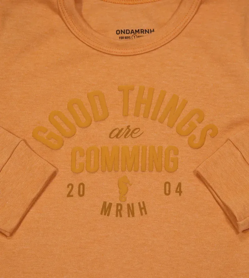 Camiseta