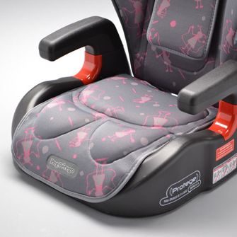 Cadeira para Auto Protege Reclinável - 3041