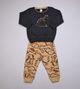 Conjunto