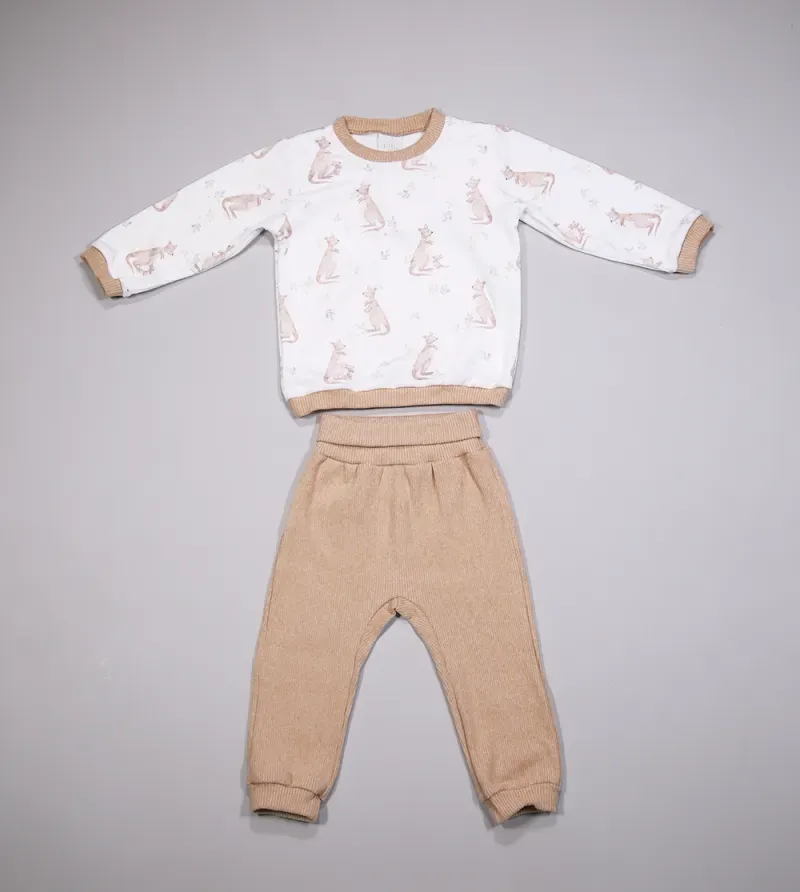 Conjunto