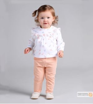Conjunto Plush Libélula
