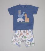 Conjunto