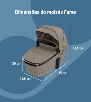 Moisés Fame Maxi Cosi