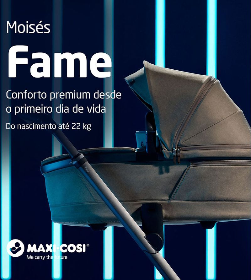 Moises