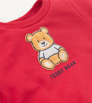Conjunto Moletom Teddy Bear