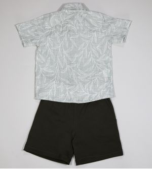 Conjunto Folhas - 385493