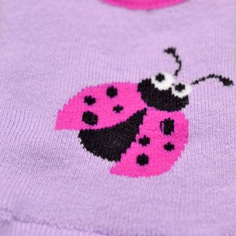 Sapameia Joaninha - GUM 5563