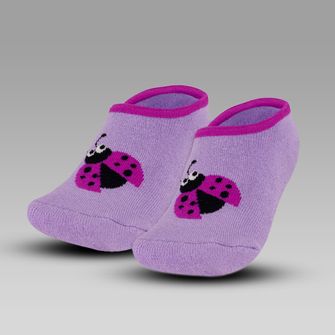 Sapameia Joaninha - GUM 5563