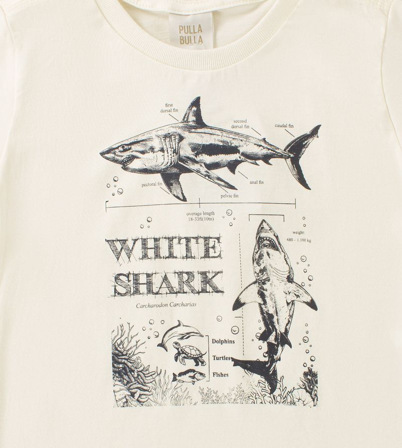 Camiseta