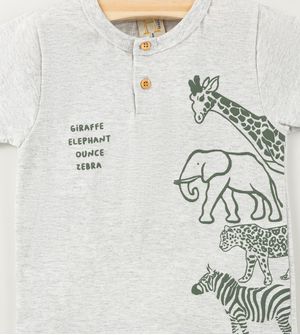 Conjunto Zoo