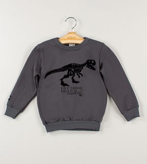 Conjunto Moletom Jurassic