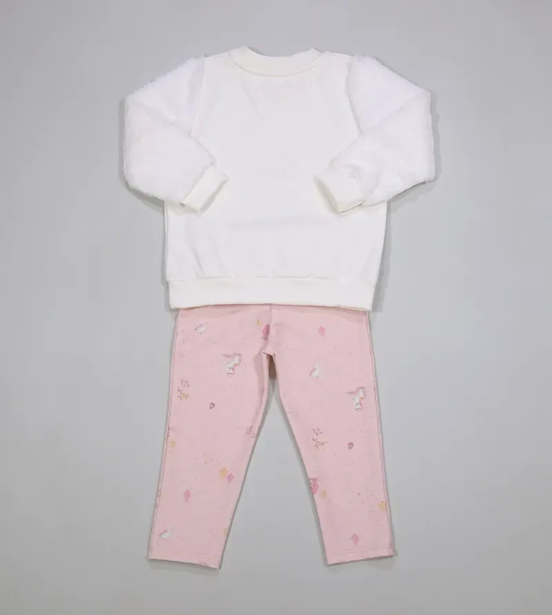 Conjunto